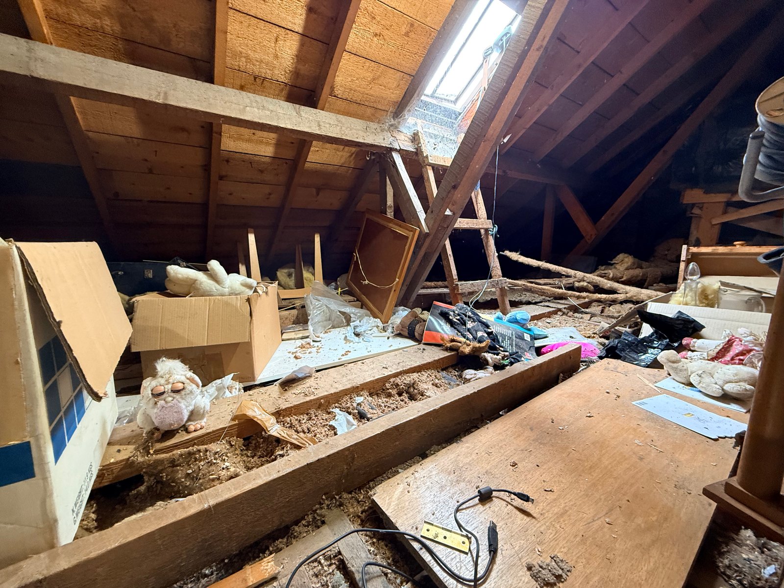 Clear view across the opened attic floor