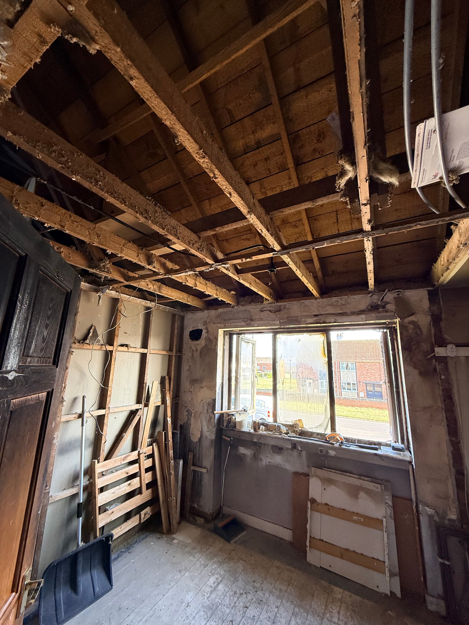 Cleanup progress day 9 image 4